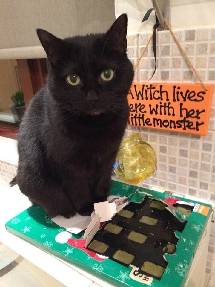 Jean Brines tweet media