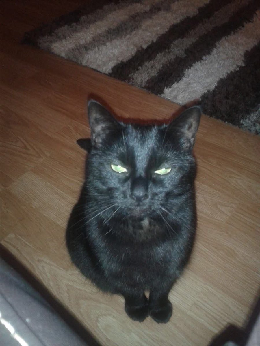 Jean Brines tweet media