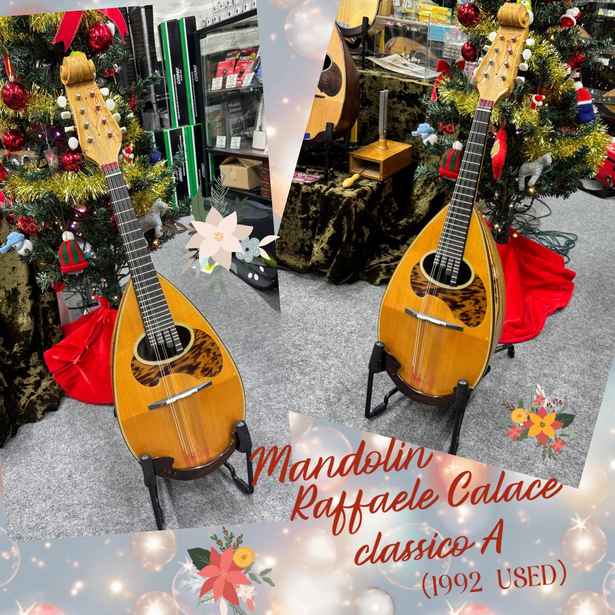 希少 ラファエレ カラーチェ マンドリン クラシコA 1992年製【整備品】 USEDマンドリンのご案内です ラファエレ・カラーチェ クラシコA（1992