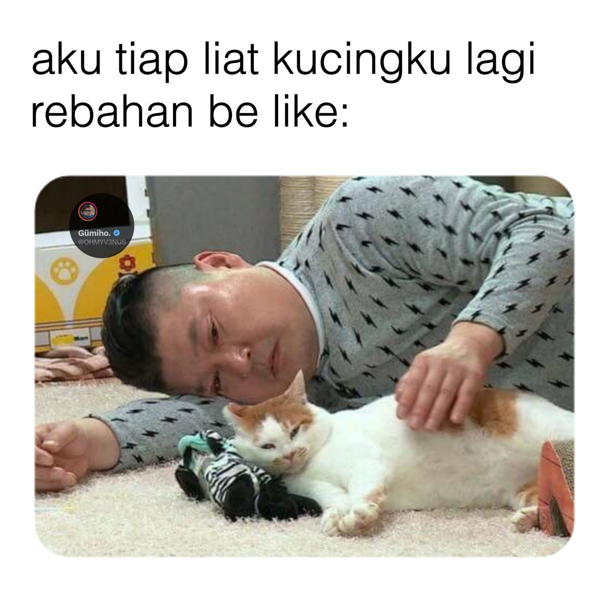 Gümiho. (@ohmyv3nus) on Twitter photo 