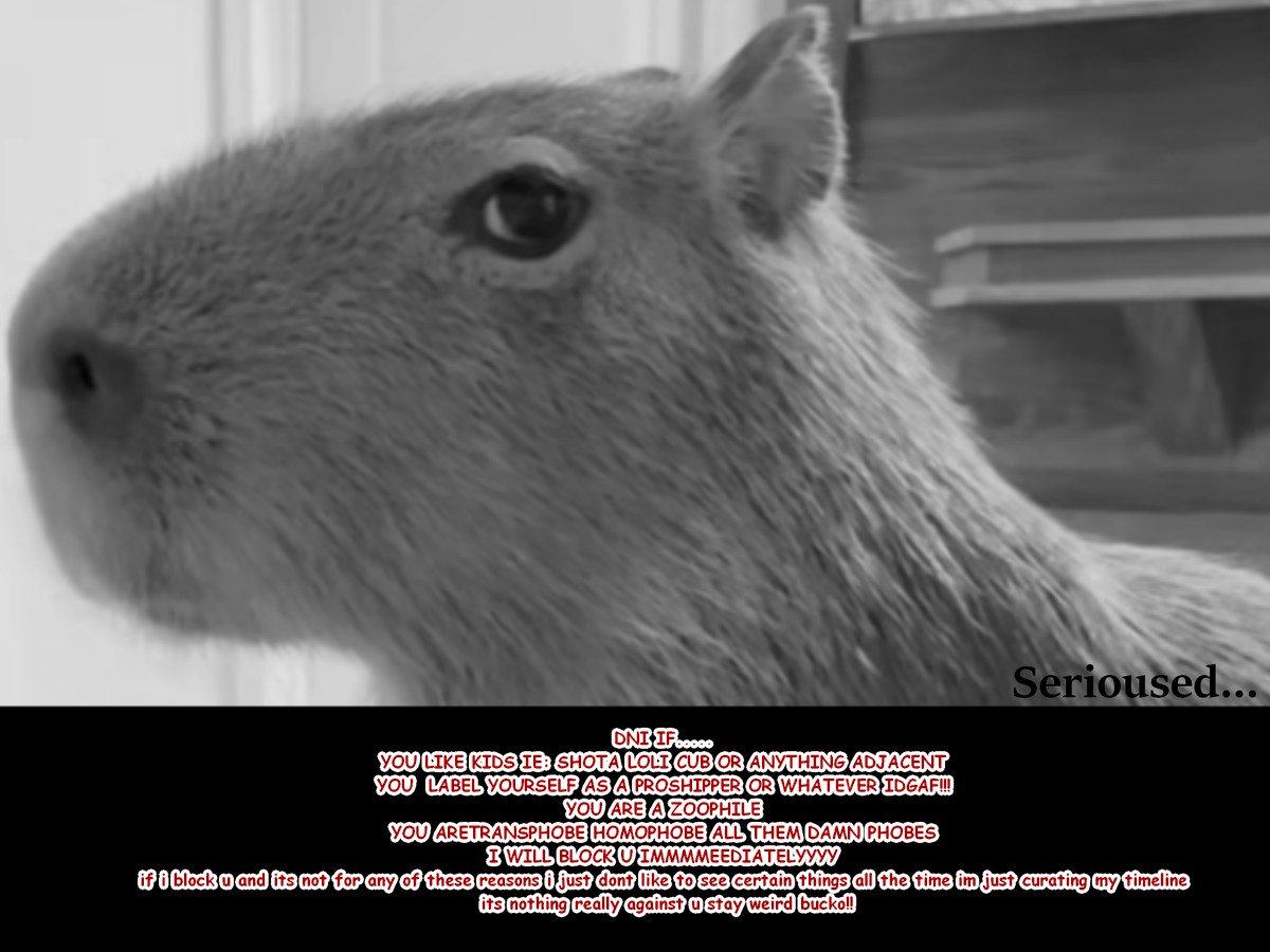 Brimbo (things paused) tweet media