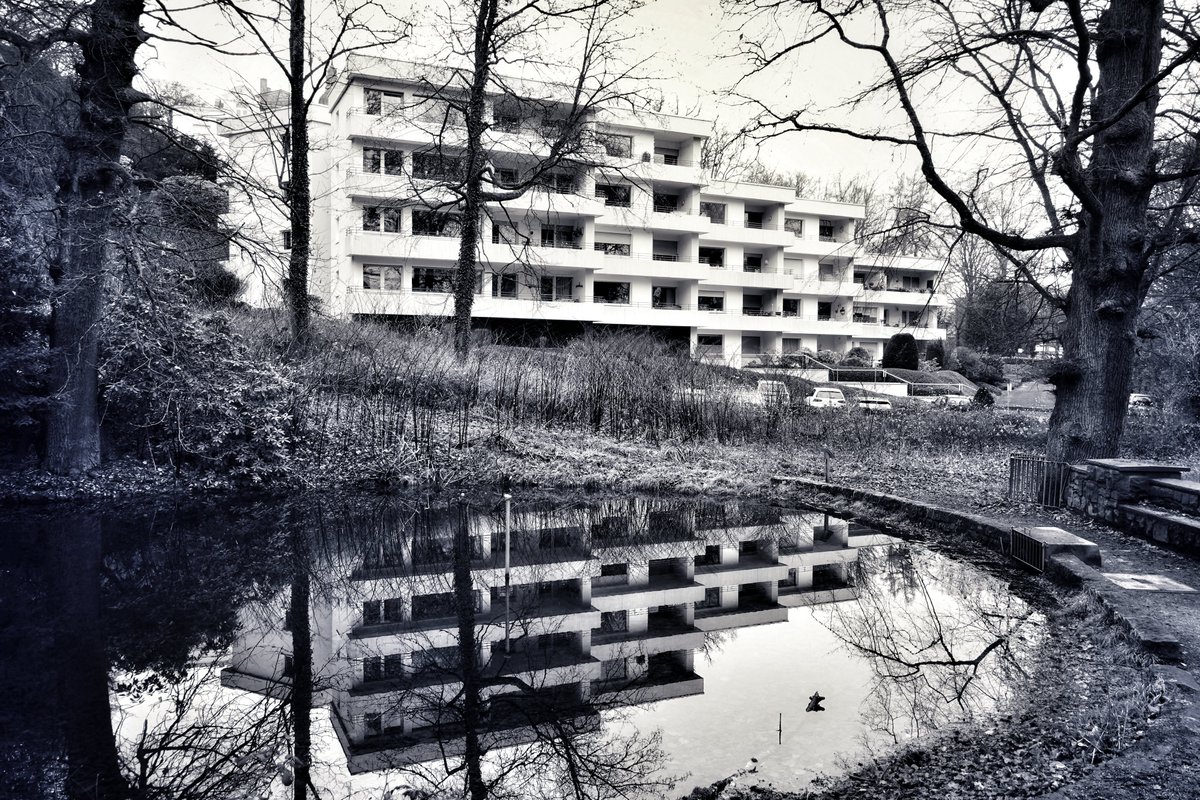 #schwarzweissfoto #bwphoto #city #street
#APuddleADay 
#LiebeIstAlles #SchönesGegenDoofes  #FloodTheZoneMitSchoenem
Ich wünsche euch allen einen herrlichen Dienstag 🫂