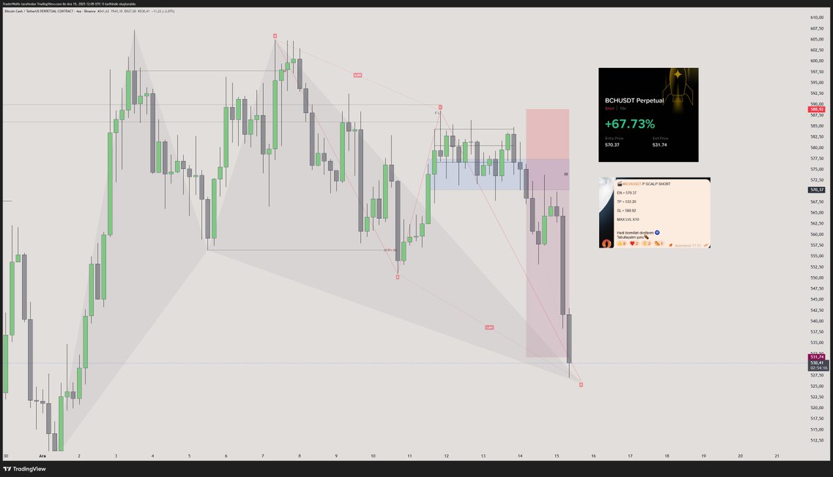 RookieSRG's tweet image. 🚨$USDT.D (tether dominance) 🐻🐻‍❄️

baby shark 🦈🍼 

$btc $eth I think I dropped one of the site's most solid swing short biases 

👋🏽

#sota #harmonic #Wyckoff