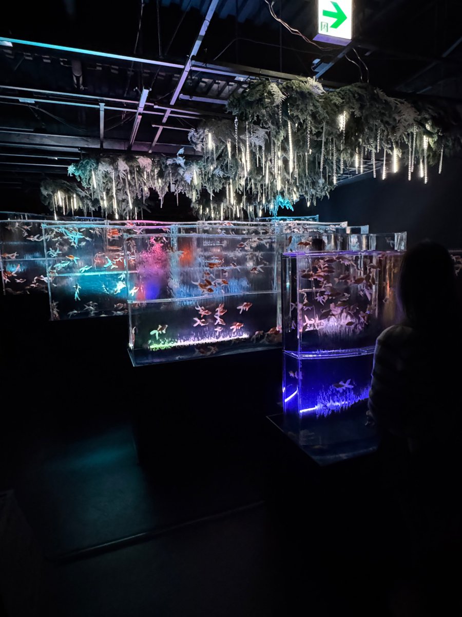 Cody Schwab tweet media