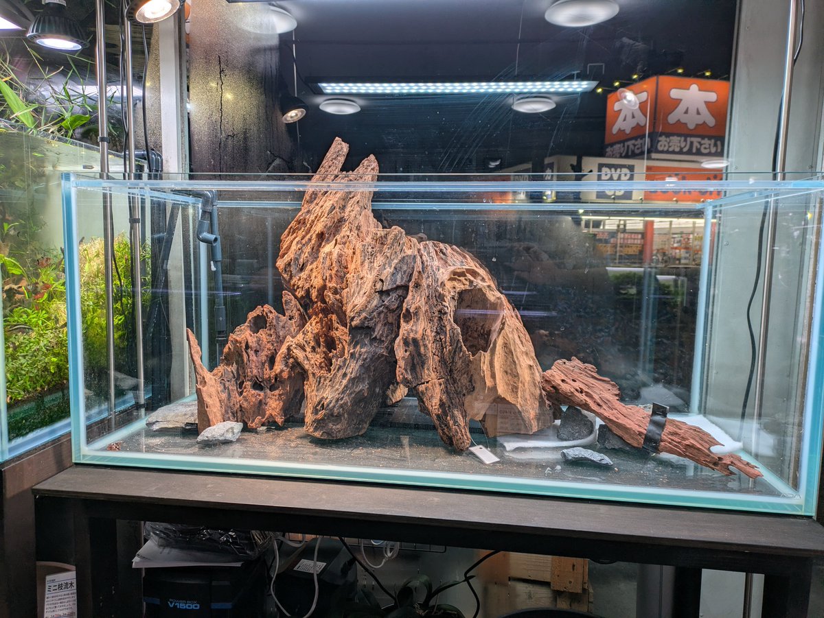 流木レイアウト 超大型　A862 お客様が選ばれた120cmレイアウト用の流木群です！大木の根本感があっ