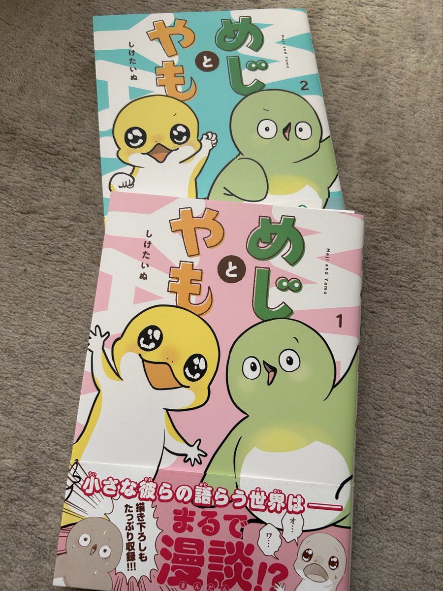 いぬです。 しけたいぬ (@sikesikeinu) / Posts / X