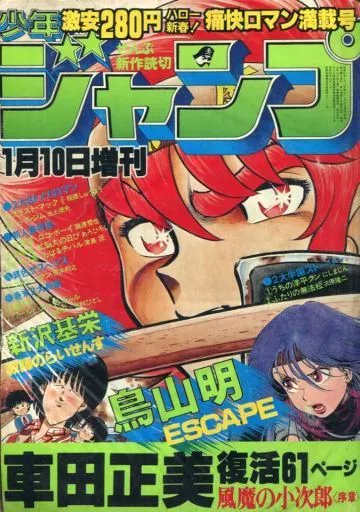 のりたま様*.+゜オーダー品☽︎‪︎.*·̩͙‬ 蕃石榴 #illustration #acrylicpainting