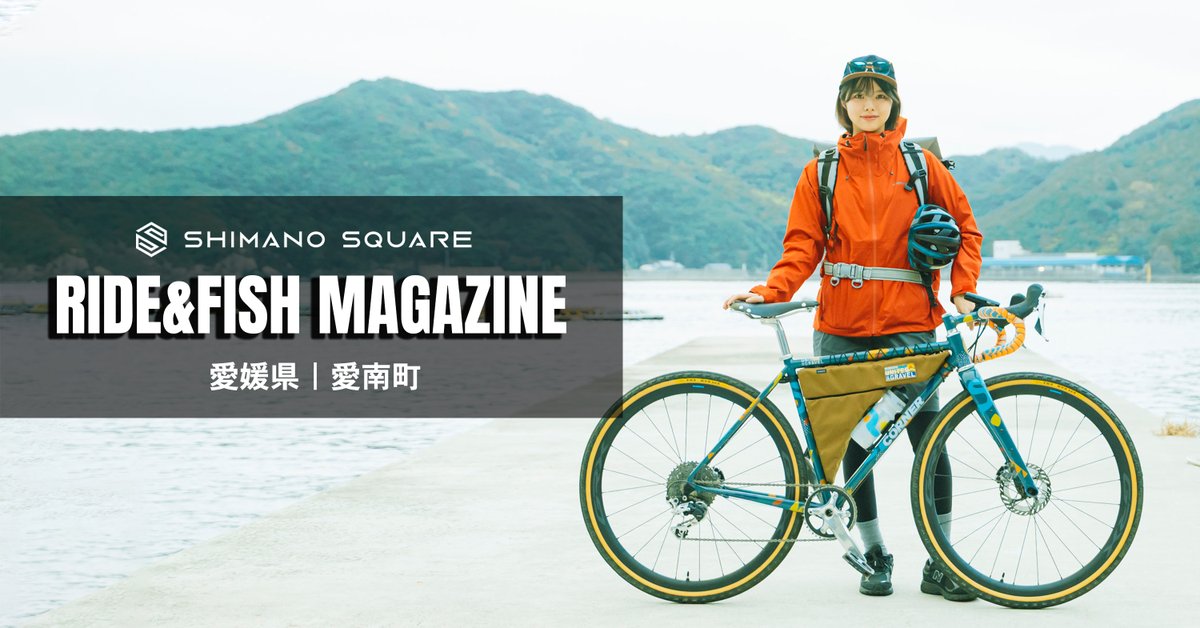 みっちょ みっちょんさん専用 特殊パック ｜ Z/X - Zillions of enemy X