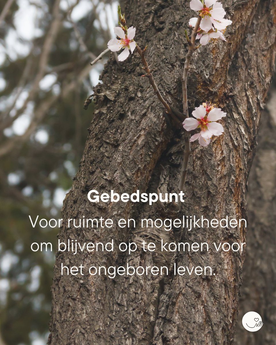 Schreeuwomleven (@schreeuwomleven) on Twitter photo 