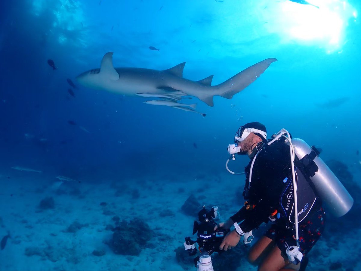 ほしとも (@hoshitomo_MUZE) / Posts / X