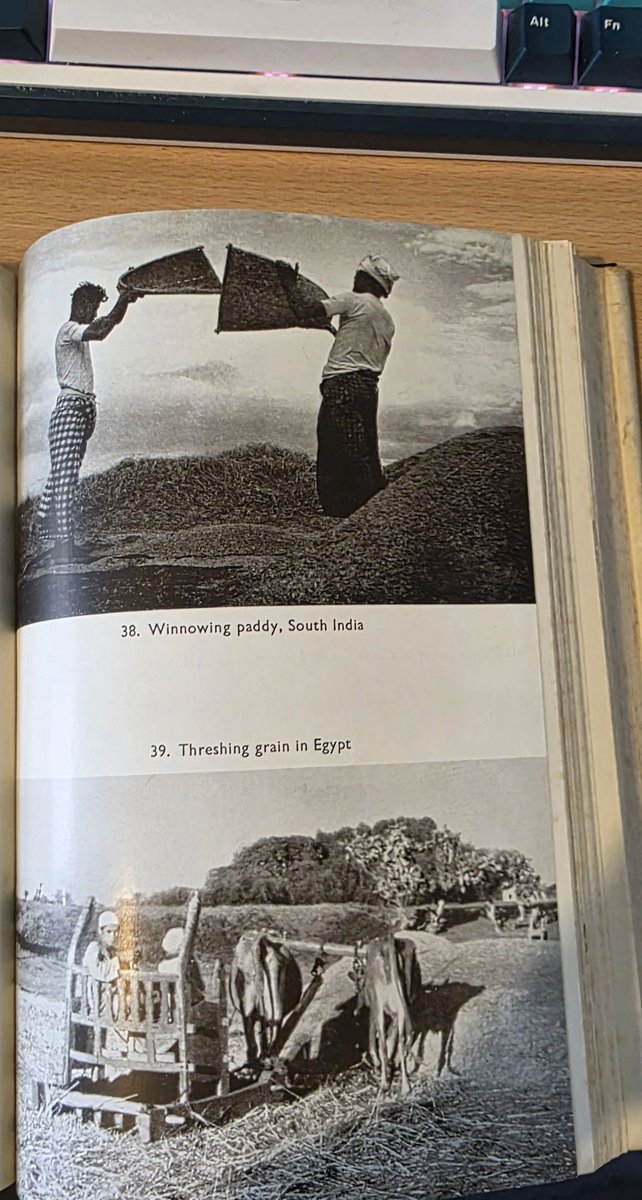 DS_tone's tweet photo. Haul from second hand book shop.....D.H. Grist's 1959, Tropical Agricultural Series: Rice. 😍😁
#books #Archaeology https://t.co/QJbxluPnRK