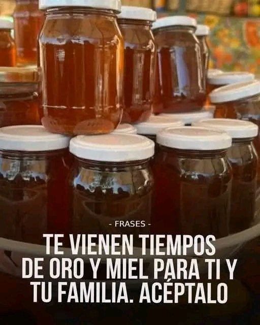 JOASUN89's tweet photo. “Hoy 🌅 es tu instante de encender tu poder 🐻, avivar tu fuego 🔥, mantener tu sendero con firmeza 🛤️ y transformar cada reto 🌊 en victoria 🏆, porque la perseverancia abre horizontes 🚀 y tu esencia ✨ está destinada a brillar sin límites.” https://t.co/a4E1UsfYER