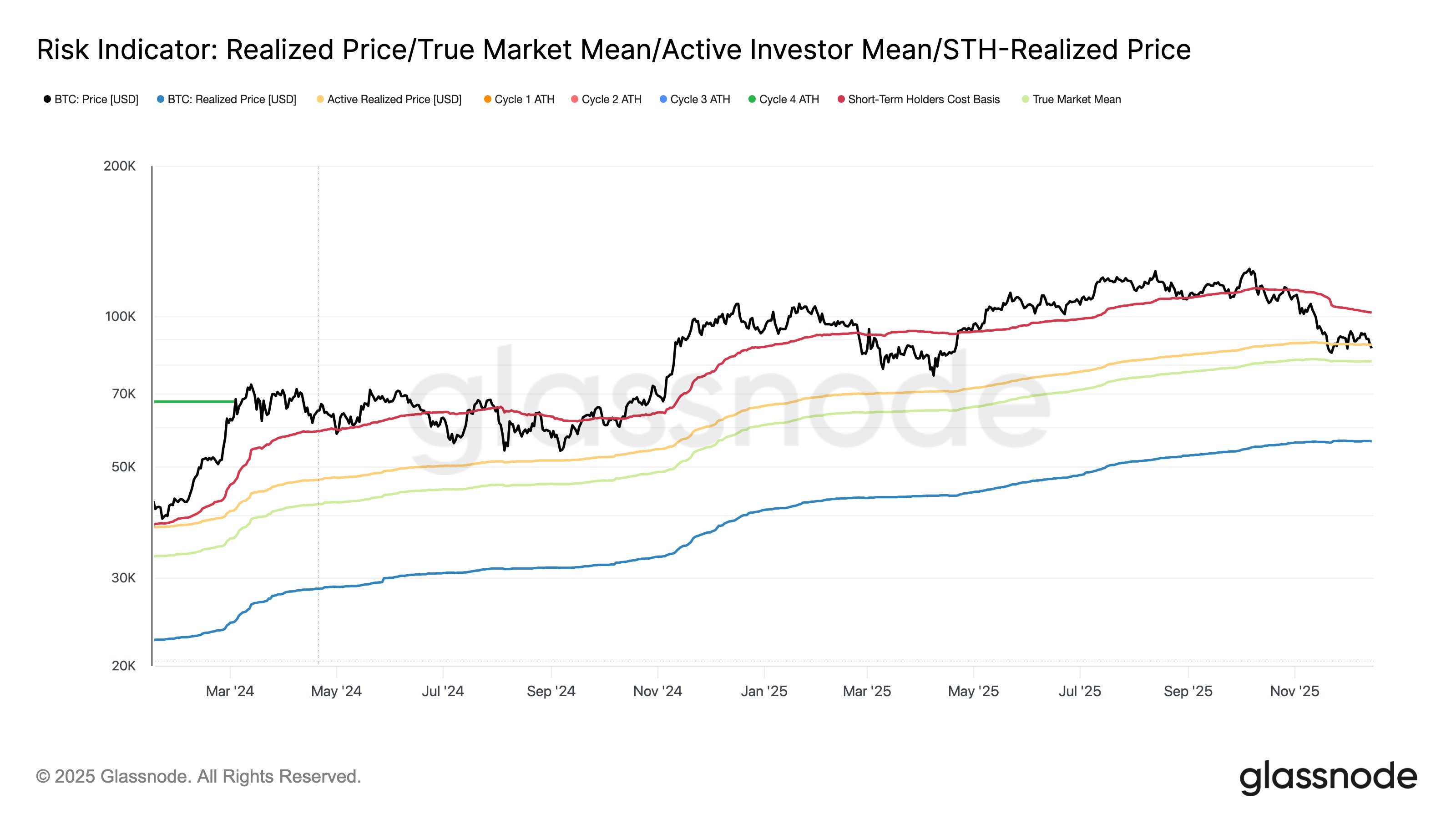 Bitcoin Risk Indicator