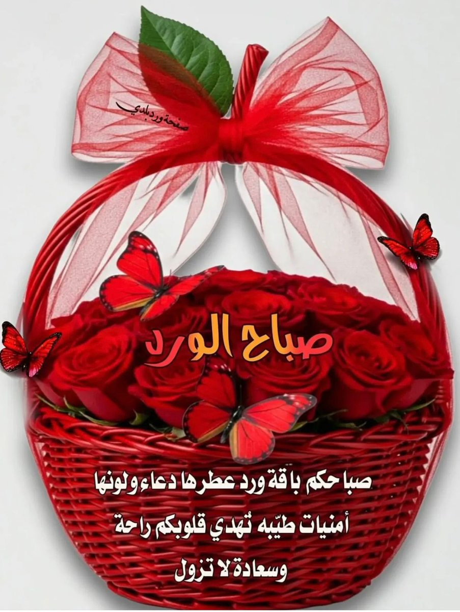 أم جنان ❤ tweet media