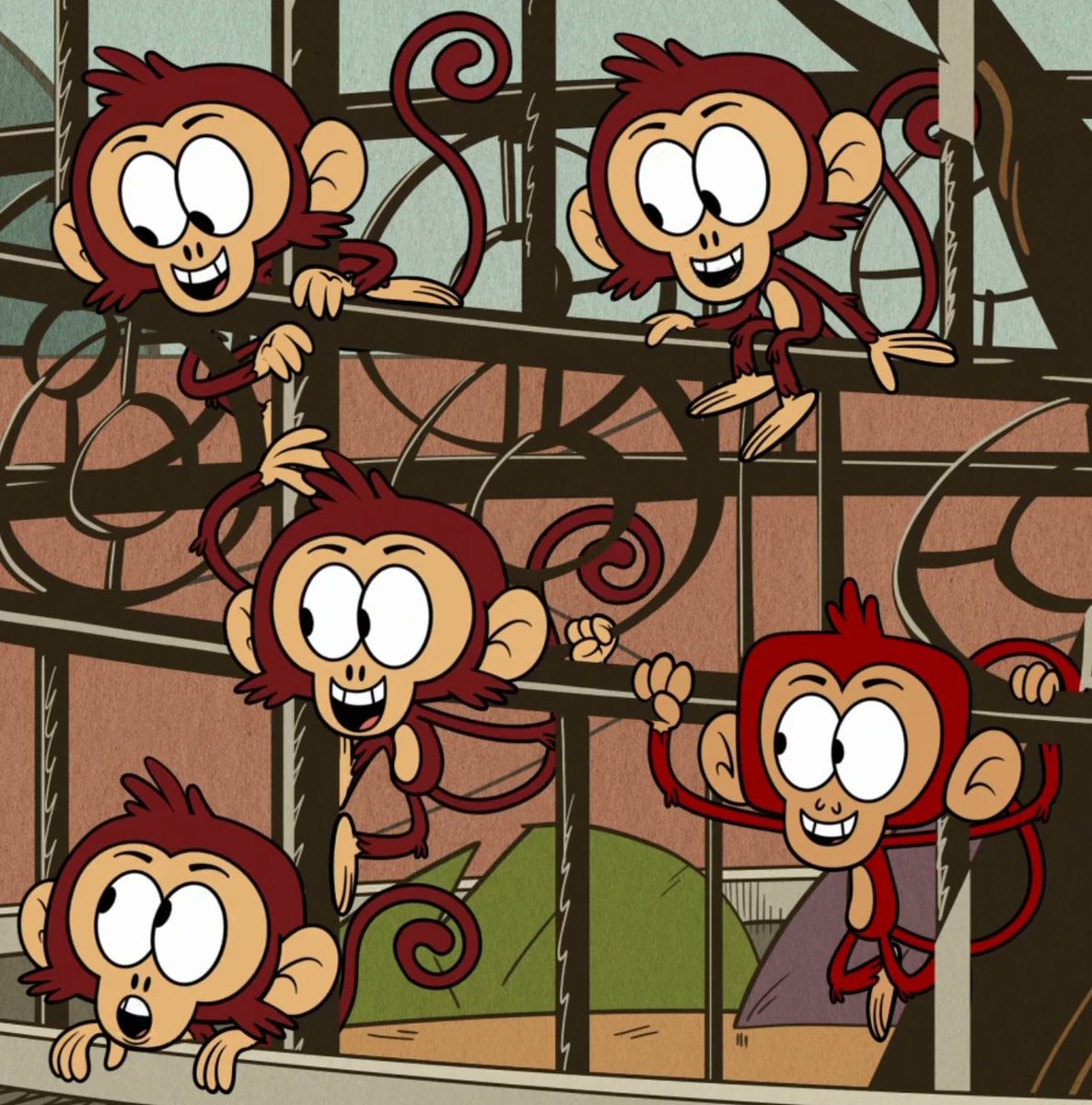 19Coolguy's tweet photo. Here’s to Nico and the other monkeys!🐒#thecasagrandes #MonkeyDay https://t.co/5OsnVRuorM