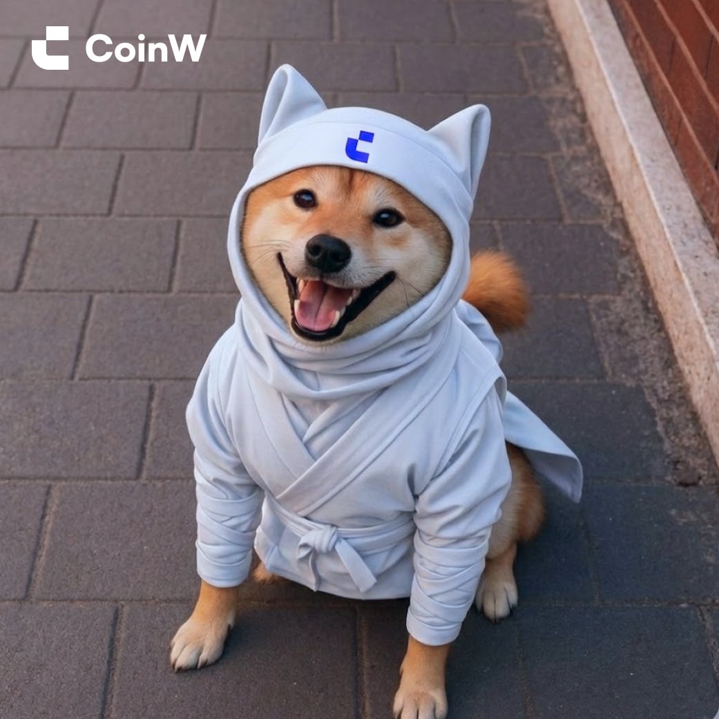 CoinW Global Türkiye Topluluğu 🇹🇷 tweet media