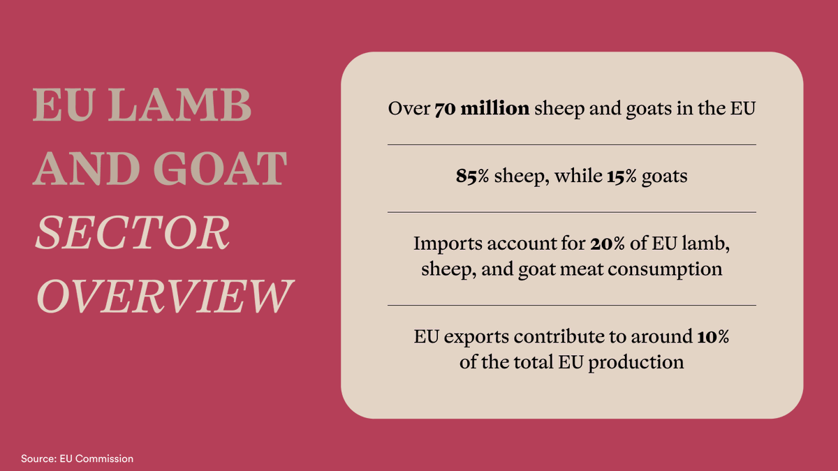 Exclusive Lamb & Goat from Europe tweet media