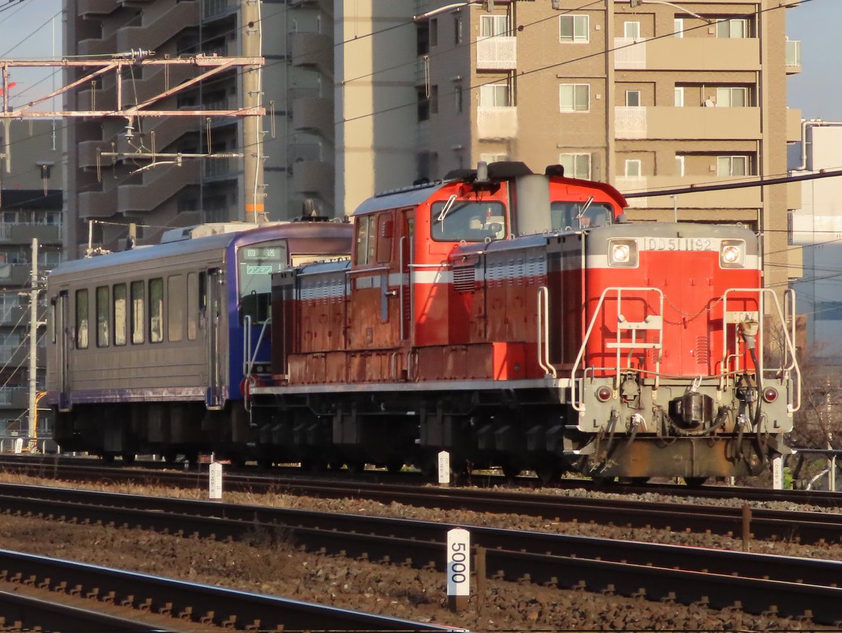 えぬやま (@Nyamasuzuka9000) / Posts / X