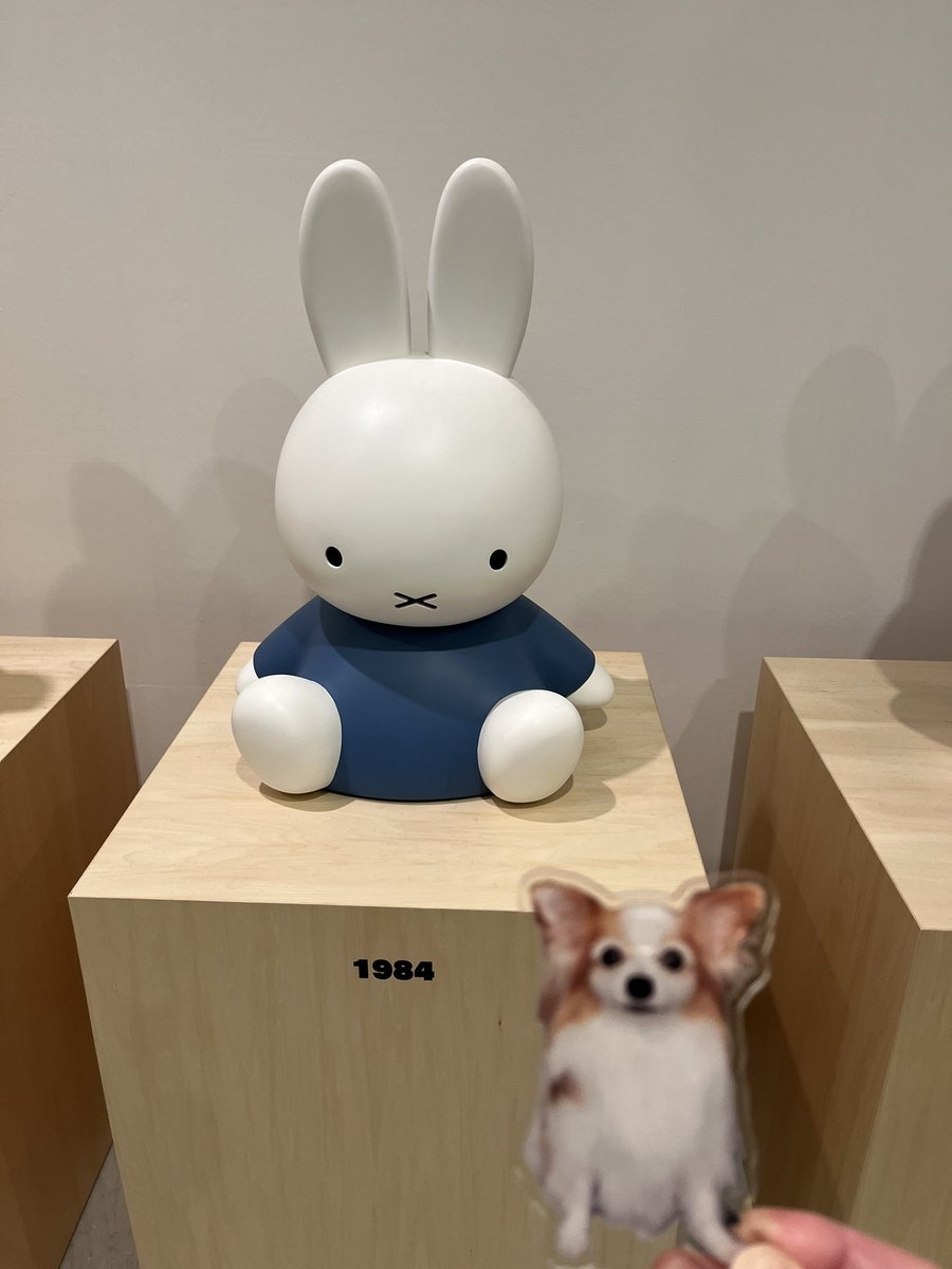 うさこちゃん 最高でした。