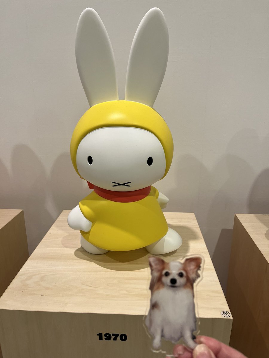 うさこちゃん 最高でした。