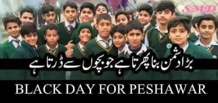 PTM Sherani tweet media