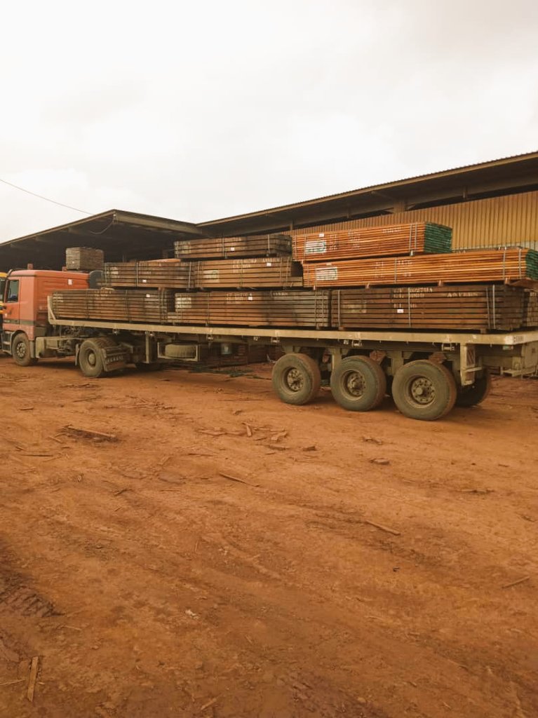 AbiluTangwa's tweet image. The future of our food is in the hands of our rural youth. Their connection to the land, innovative spirit, and hard work will feed the world. Let's invest in them. 🌱👩‍🌾 #FutureOfFood #RuralYouth