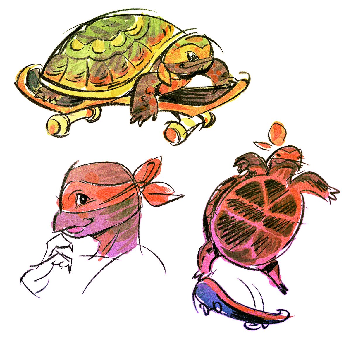 little turtle skater