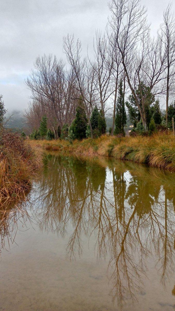 Excursió per la serra de Gúdar seguint el riu Valbona
loc.wiki/t/243789938?h=… des de Cabra de Mora anem cap el barranc de Bolaje, visitem el Mas de las Alcafasi i tornem cap al poble per la riba del riu on trobem assuts i tolls realment bonics.