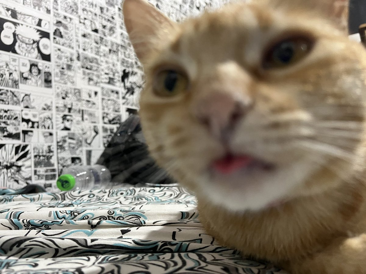dumpster tweet media