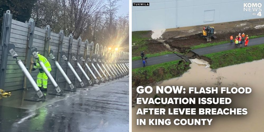 Ari Hoffman tweet media