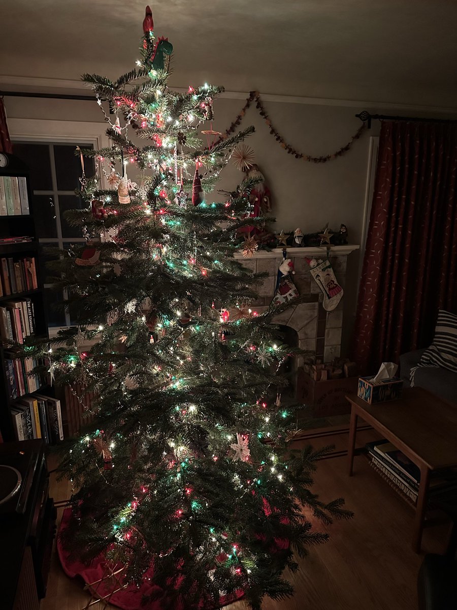 BraxbraxL's tweet photo. @MarioAndretti Merry Christmas to you and the entire Andretti clan! As usual we have visited the woods to cut our own per our annual tradition. But your annual post and all the beautiful trees that follow is fast becoming another tradition in our house.😁 https://t.co/3gNGuETIST