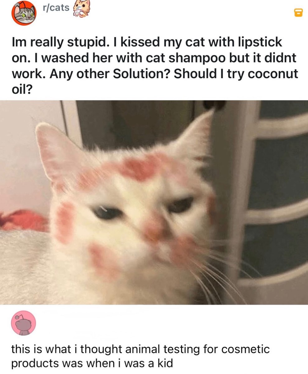 Respectful Memes (@respectfulmemes) on Twitter photo 