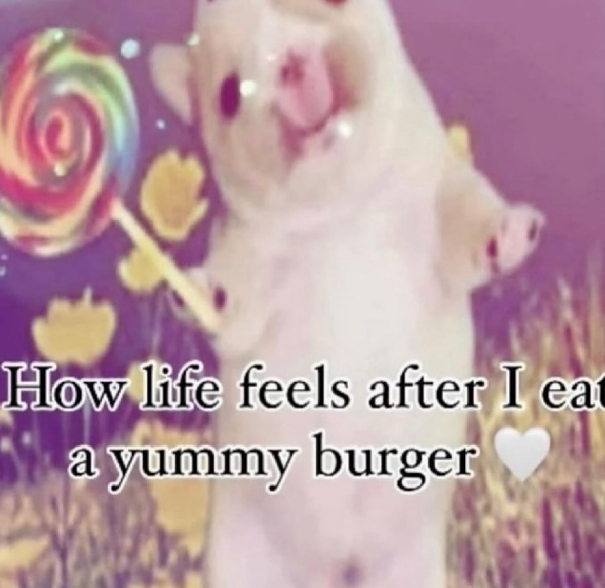 RespectfulMemes's tweet image. 