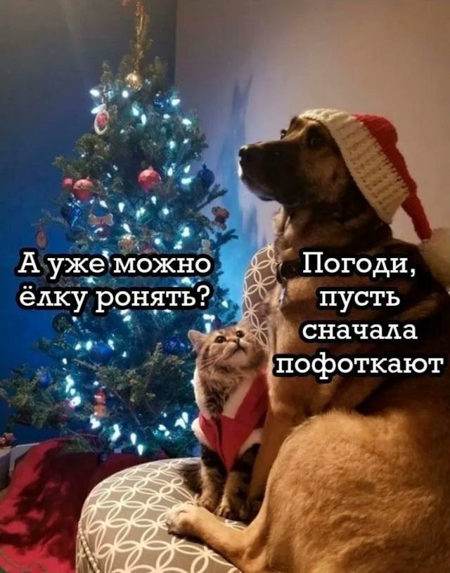 drunktwi's tweet image. 