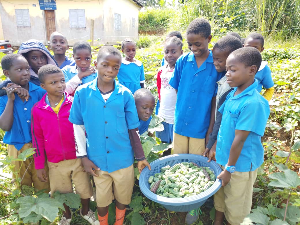 Plan International Cameroon tweet media