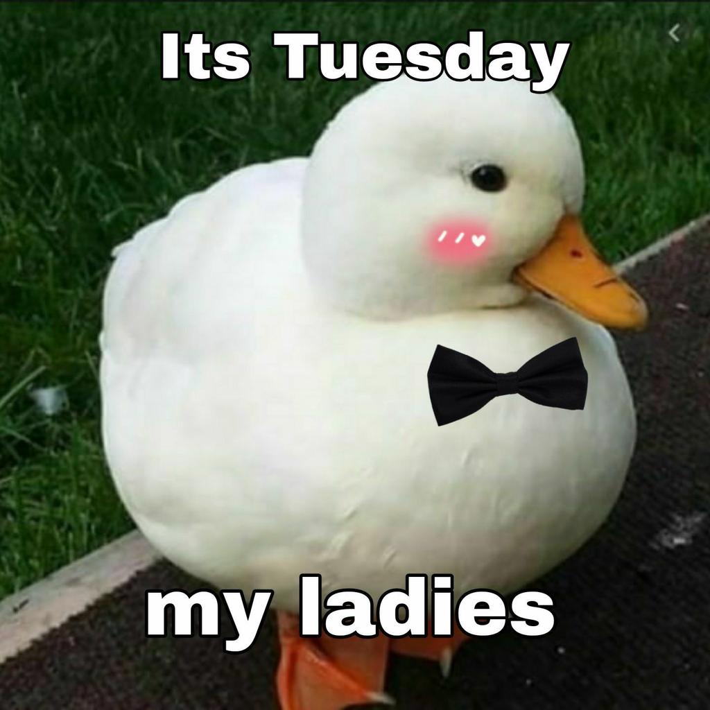 Diesmal vergess ich nicht