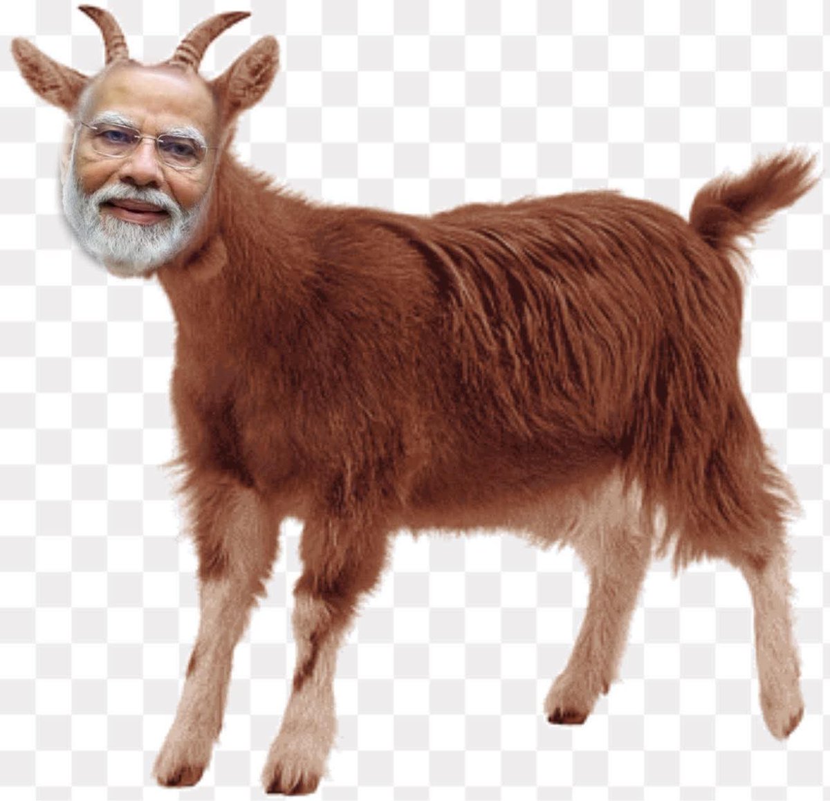 Atik23Adib's tweet photo. @narendramodi https://t.co/iY4x8ZVs7l
