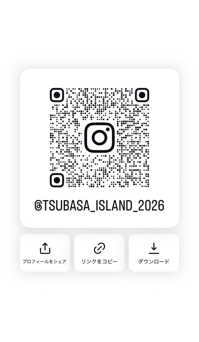 tsubasa_island's tweet photo. 伊計島セミナー2026ではインスタアカウントも運用しております！ぜひフォローをお願いいたします✨ https://t.co/mZxRQ5Ay3g
