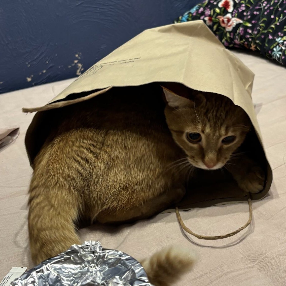 ми не справляємся, у нас полетіла третя тачка за тиждень і грошів не хватає на ней вже зовсім, без вас ніяк, друзі. допоможіть, будь ласка.
це свиня шукає підтримки і донатів на ремонт корча нам🥹

send.monobank.ua/jar/3WRpJ4rHfK