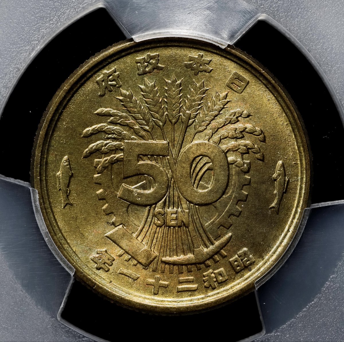 ヒソカ・モロゥー (@upo7Z3jjs85VXj0) / Posts / X