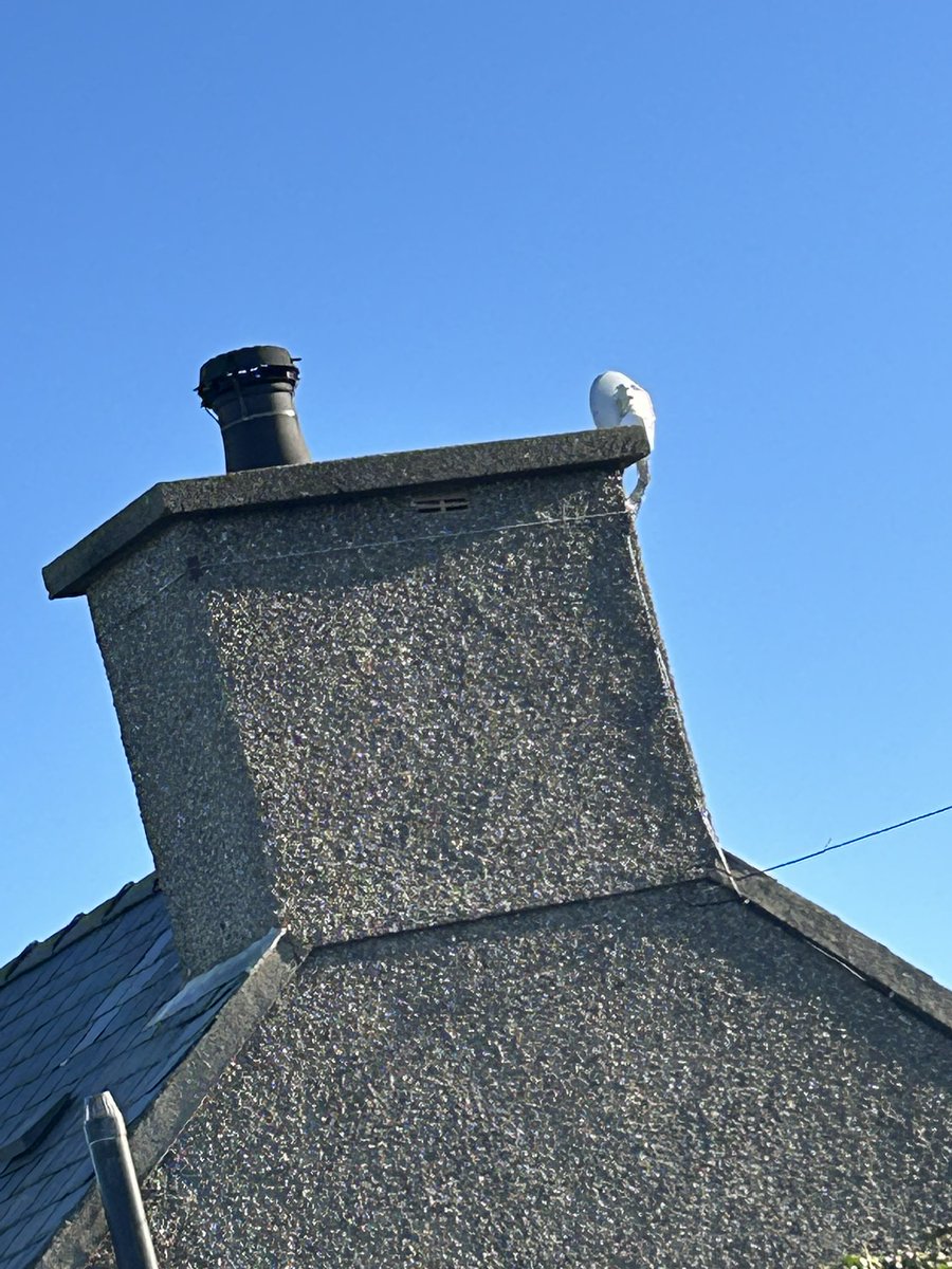 Dyfed Telecom tweet media