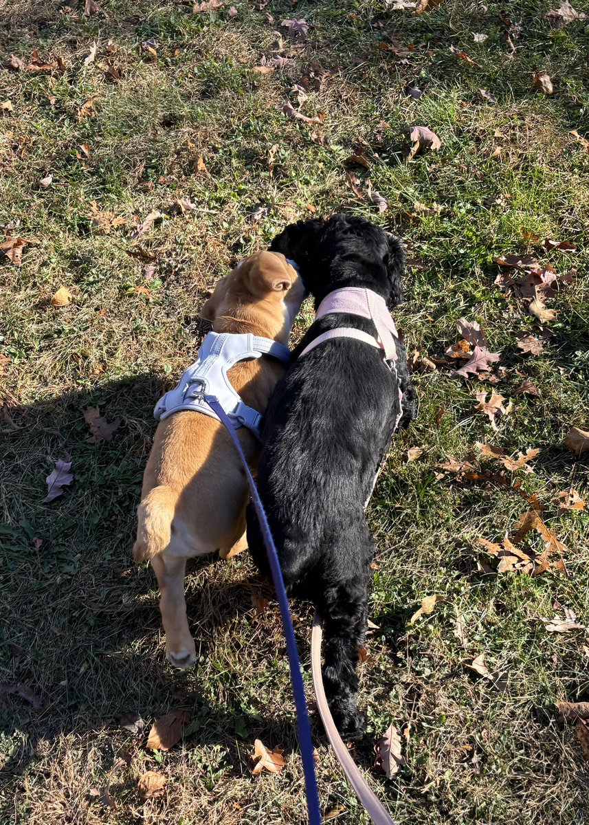 anenium_'s tweet image. until we can be together again♡