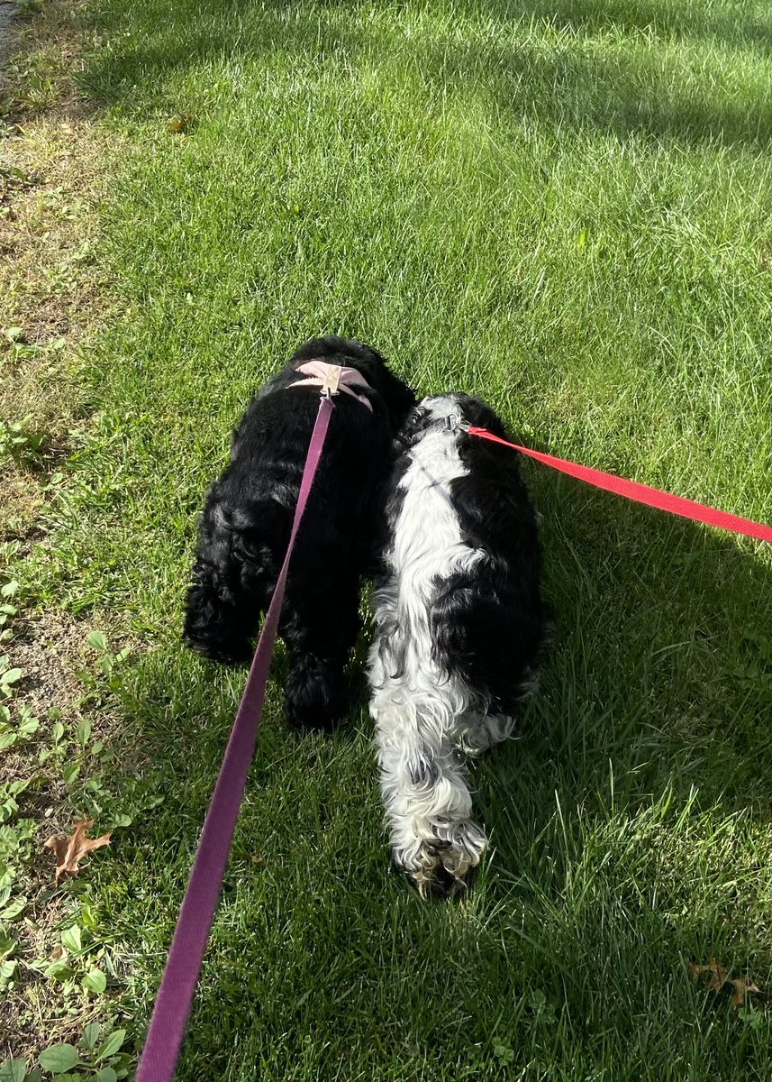 anenium_'s tweet image. until we can be together again♡