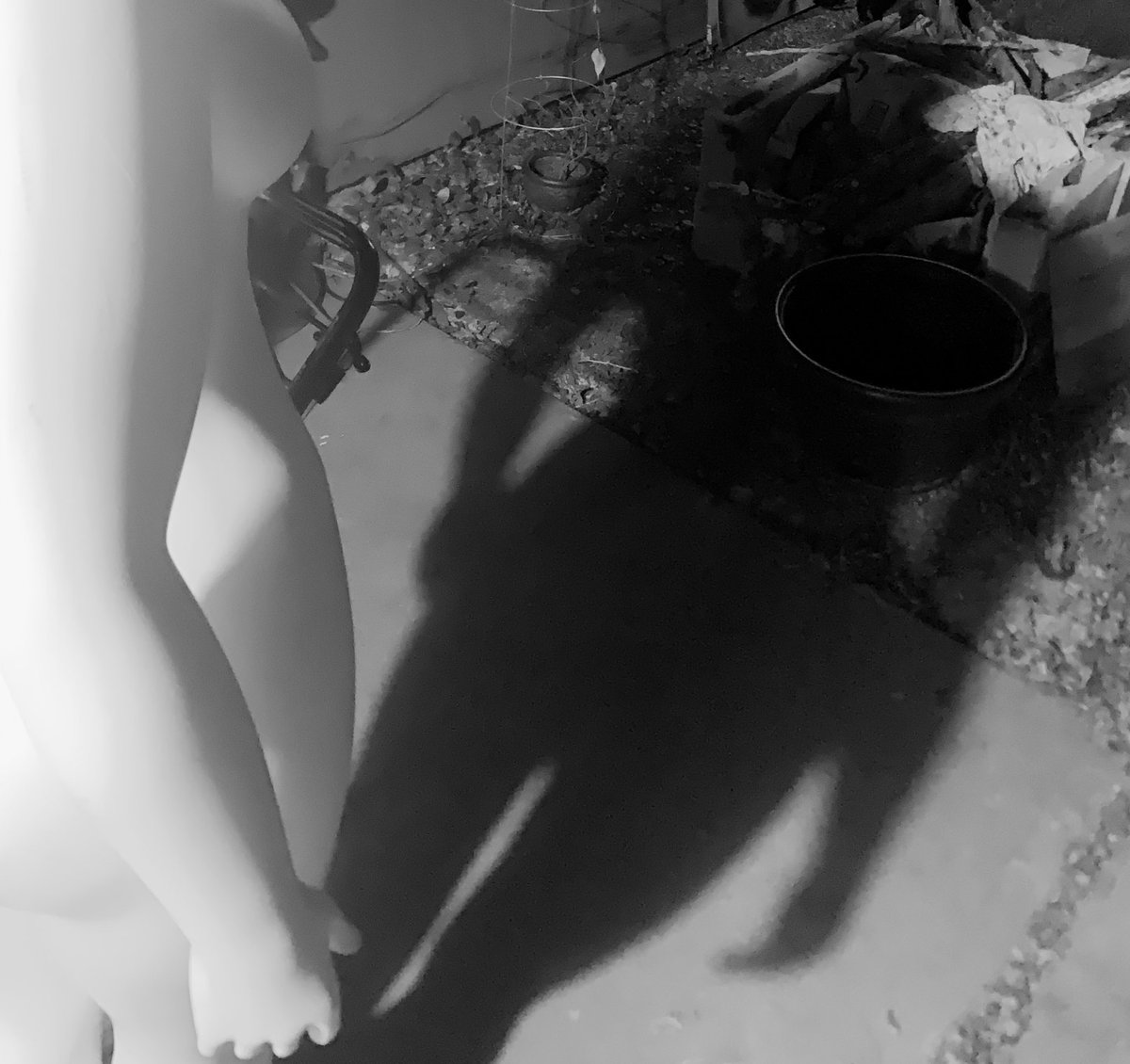 Borvid (@sideponys) on Twitter photo 