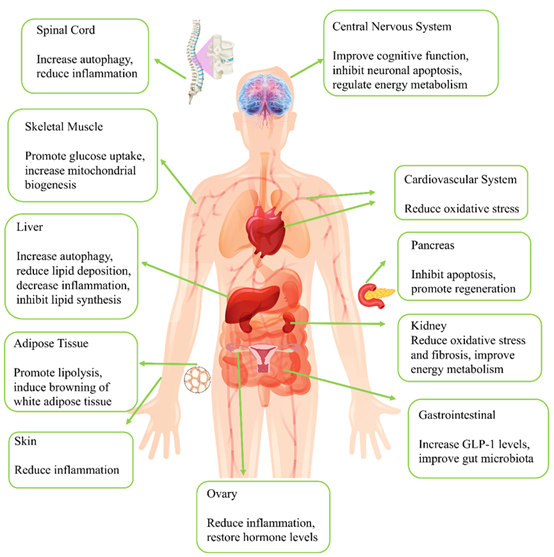 ScilightHm's tweet photo. Explore the latest insights into key molecular mechanisms in human disease, with implications for clinical diagnosis and future therapies.

Read More
https://t.co/LPK3KupJuV

#MedicalResearch #HumanMedicine #BiomedicalScience https://t.co/eFDJujh5NN