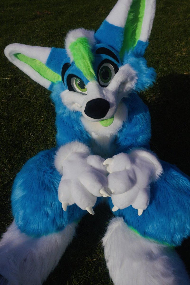 Went for walkies 🌼

#fursuit #fursuitphotography