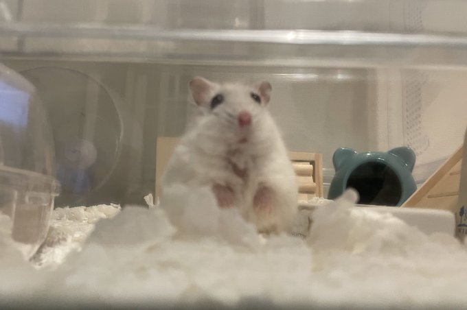 ビジュラム福岡天神店のツイート