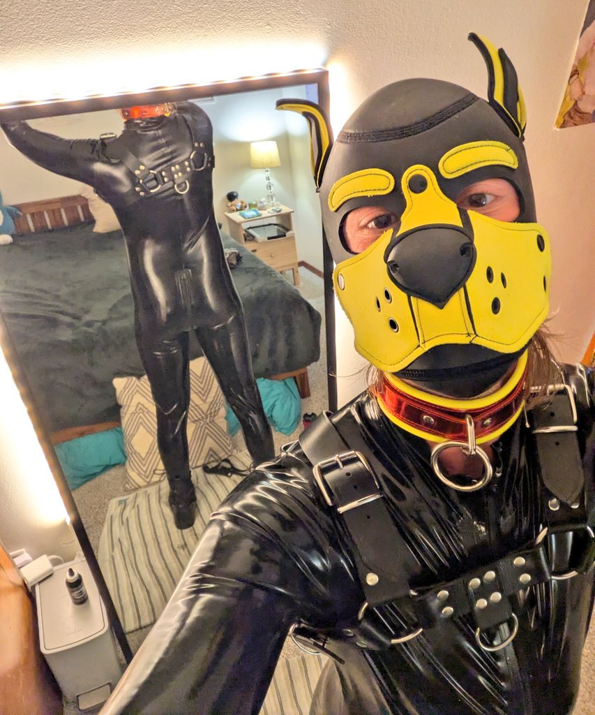 SuperGoodPup's tweet photo. ok chat do we think there's a dildo up my ass being held in by the suit, yes or yes? https://t.co/QkVZhk1suq