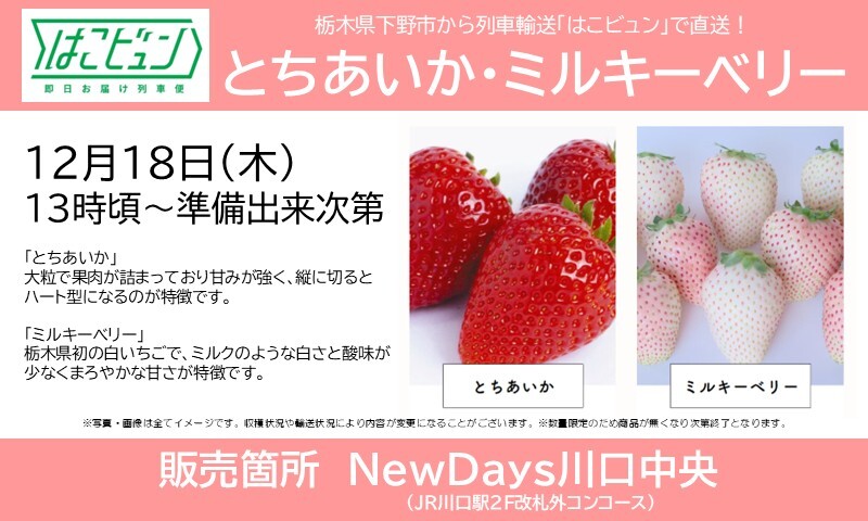 予告・店舗限定】 12/18(木)13時頃から、NewDays川口中央にて栃木県産