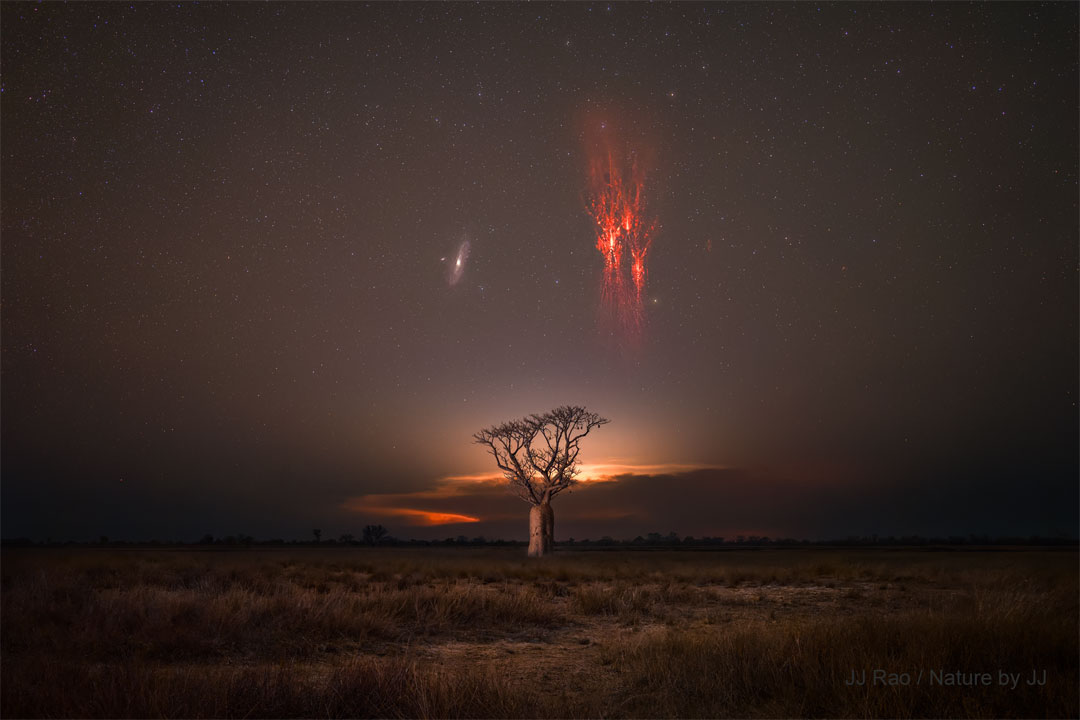 nasa_apodx's tweet image. When the cosmos meets Mother Nature: 

On one side, Andromeda – ancient and wise.  
On the other, fleeting red sprites lighting up the sky.  
And right below, a boab tree with a lifetime supply of H2O! 🌌⚡️🌳  
#SkyGazing #CosmicWonder